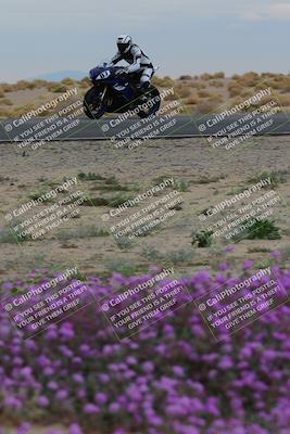 media/Jan-14-2023-SoCal Trackdays (Sat) [[497694156f]]/Turn 14 Exit Bloomig (145pm)/